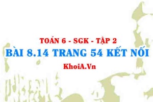 Bài 8.14 trang 54 Toán 6 Tập 2 Kết nối tri thức